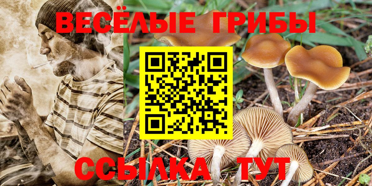 Можга  Галлюциногенные грибы ЛСД  Вход с VPN  Галлюциногенные грибы мухоморы 